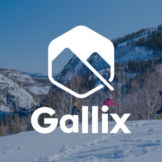 Gallix.jpeg