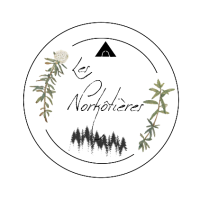 Les Norkôtières